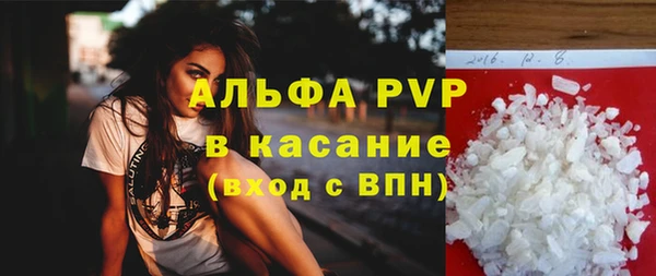 гашиш Богданович