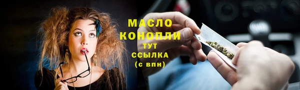 spice Богородицк