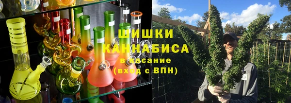 гашиш Богданович