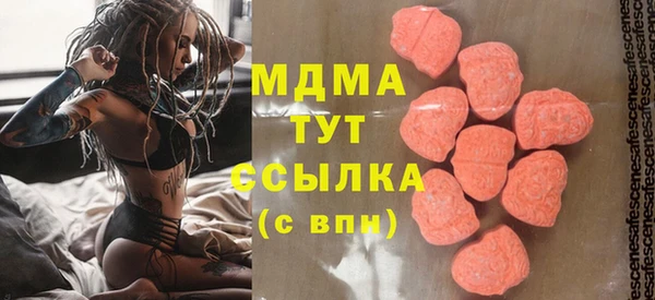 spice Богородицк