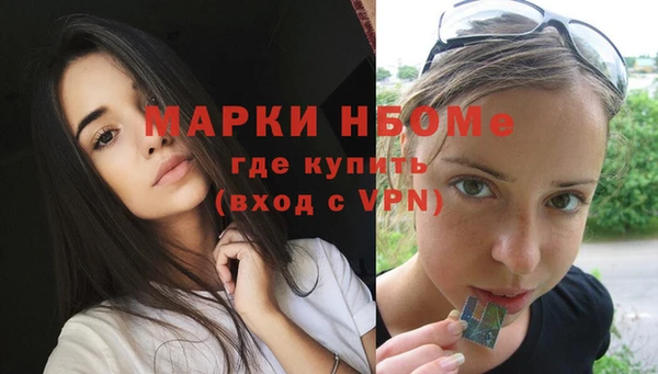 гашиш Богданович